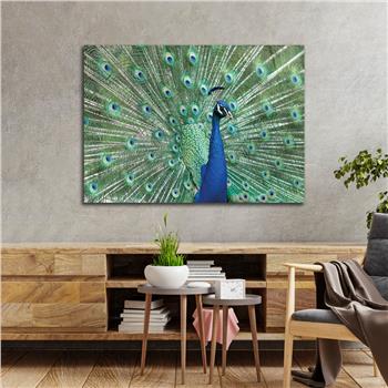 Tempered Glasss Wall Arts Natured-Themed
