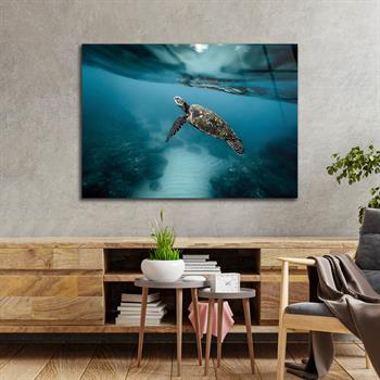 Tempered Glasss Wall Arts Art-Themed
