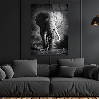Tempered Glasss Wall Arts Art-Themed