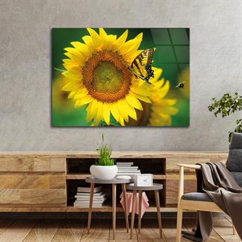 Tempered Glasss Wall Arts Art-Themed