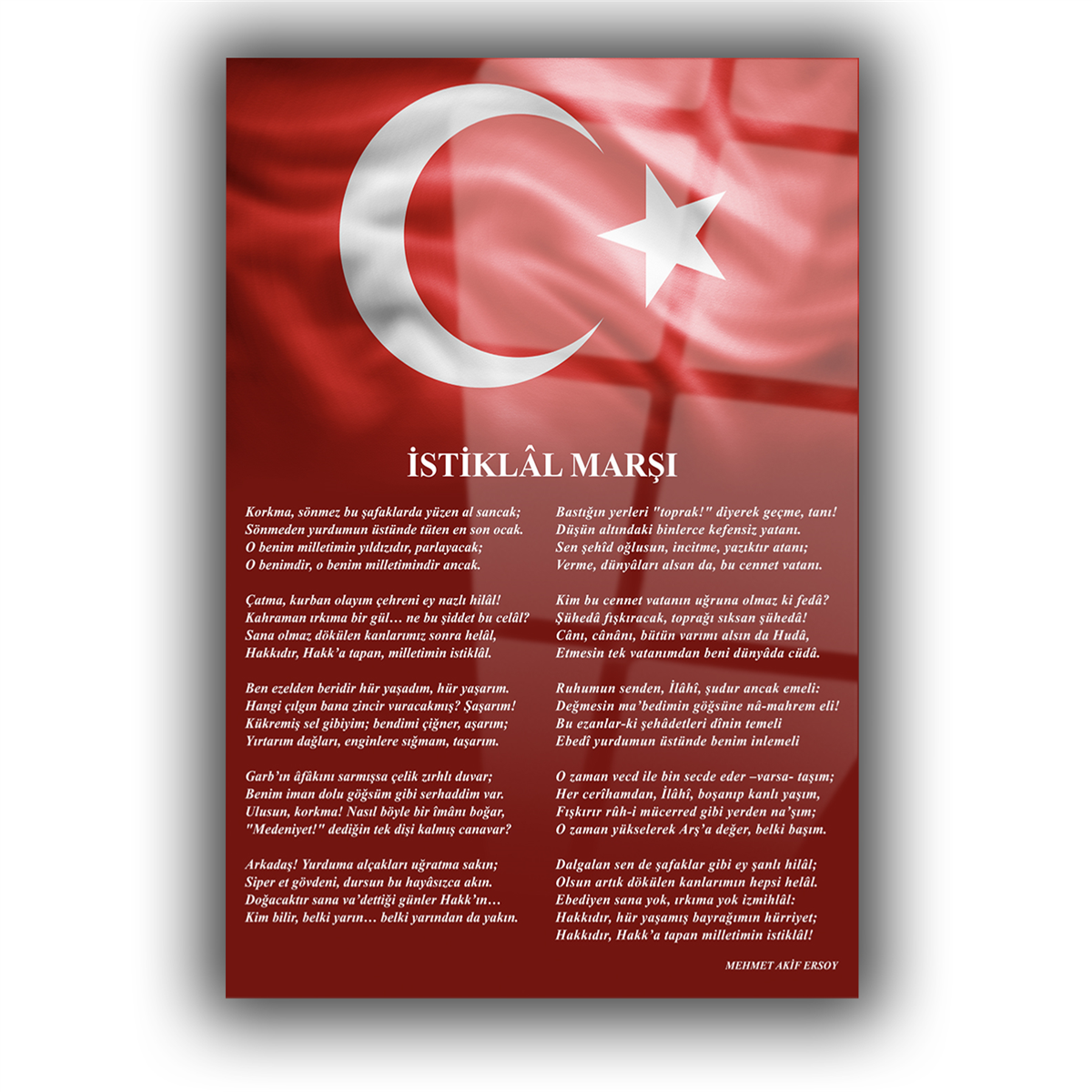 Dikey VatanTemalı Cam Tablo 186