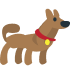 Köpekler İçin