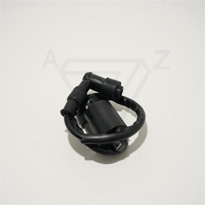 CG ATEŞLEME BOBİNİ