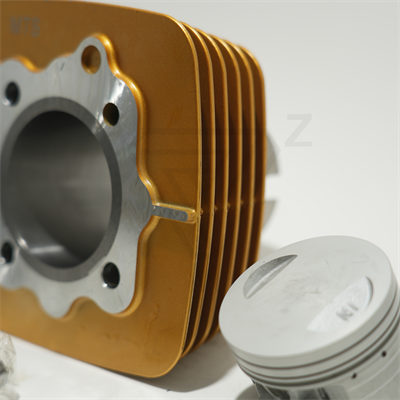 CG 150 GOLD 62 mm 13 PIN SİLİNDİR PİSTON