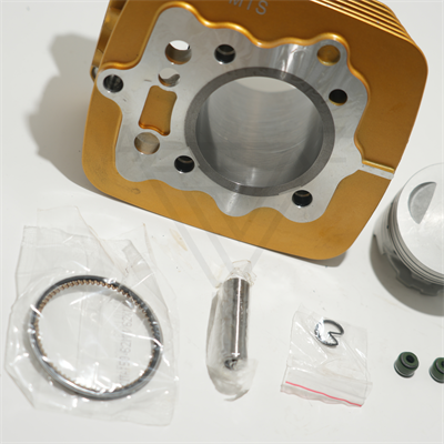 CG 150 GOLD 62 mm 13 PIN SİLİNDİR PİSTON