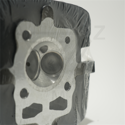 CG 150 ÜST KAPAK SİYAH ÇİTA