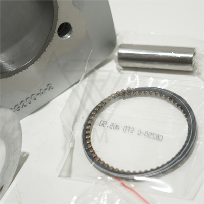CG 200 65.5 mm 76 mm 15 PIN SİLİNDİR PİSTON GRİ