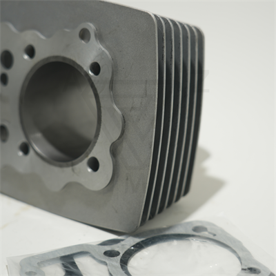 CG 200 65.5 mm 81 mm 8 PETEK SİLİNDİR  GRİ