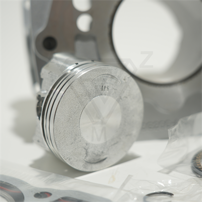 CG 200 65.5 mm 76 mm 15 PIN SİLİNDİR PİSTON GRİ