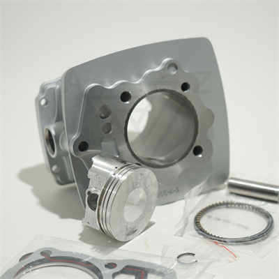 CG 200 65.5 mm 76 mm 15 PIN SİLİNDİR PİSTON GRİ