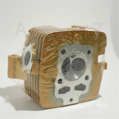 CG 200 ÜST KAPAK GOLD ÇİTA