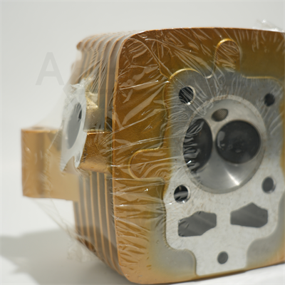 CG 200 ÜST KAPAK GOLD ÇİTA