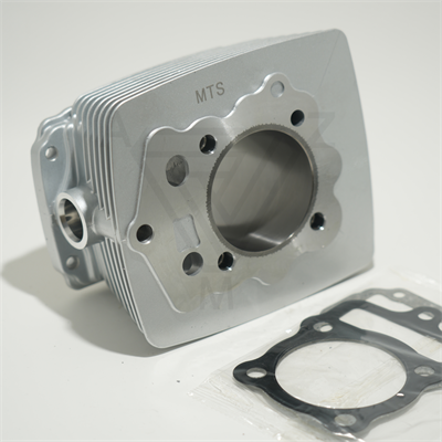 CG 250 65.5 mm 82 mm SİLİNDİR