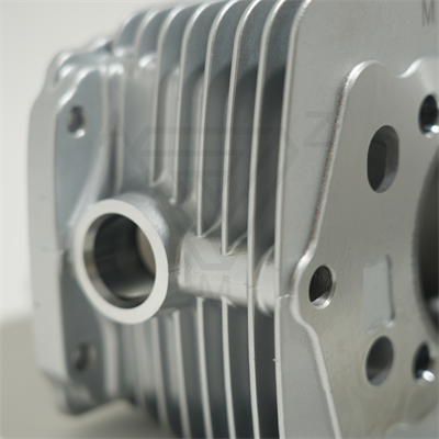 CG 250 65.5 mm 79.5 mm SİLİNDİR