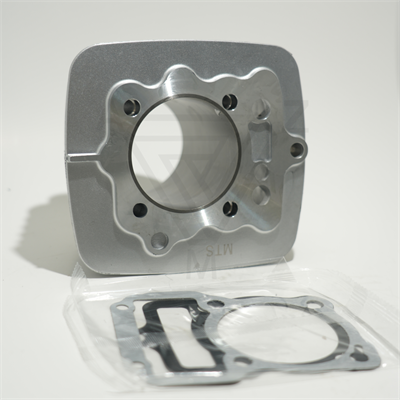 CG 250 67 mm 69 mm SİLİNDİR GRİ