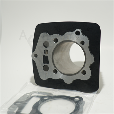 CG 250 67 mm 79,5 mm SİLİNDİR SİYAH