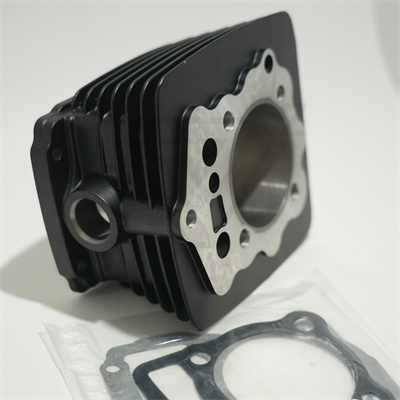 CG 250 67 mm 79,5 mm SİLİNDİR SİYAH