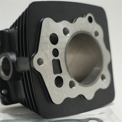 CG 250 67 mm 79,5 mm SİLİNDİR SİYAH