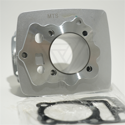 CG 250 67 mm 82 mm SİLİNDİR GRİ