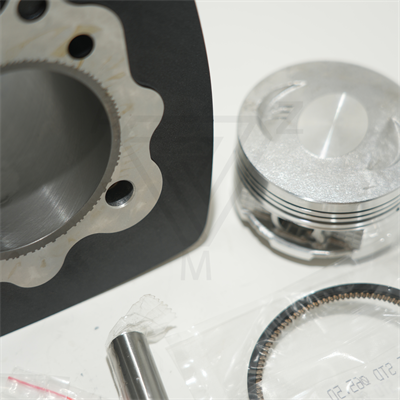 CG200 65.5 mm 69 mm 13 PIN SİLİNDİR PİSTON SİYAH