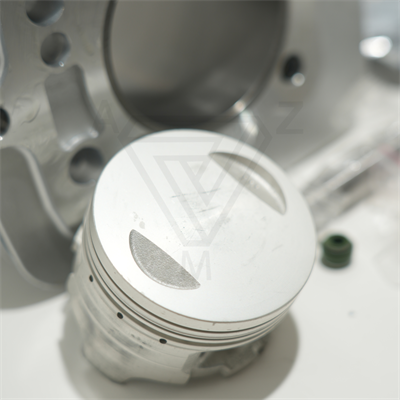 CG200 65.5 mm 69 mm 13 PIN SİLİNDİR PİSTON GRİ