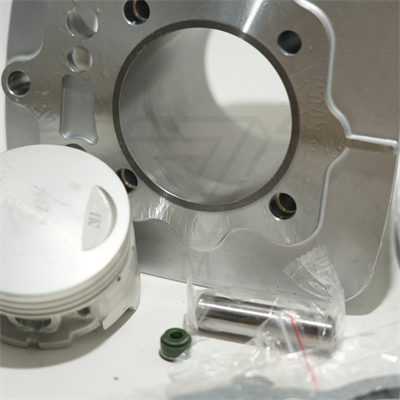 CG200 65.5 mm 69 mm 13 PIN SİLİNDİR PİSTON GRİ