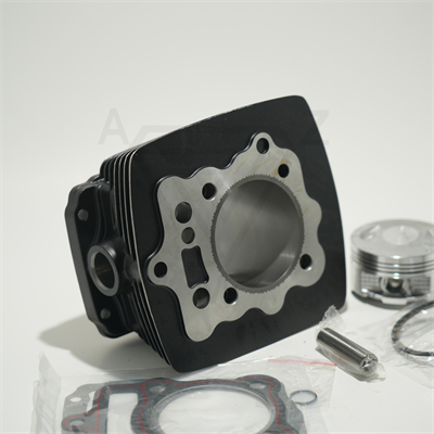 CG200 65.5 mm 69 mm 13 PIN SİLİNDİR PİSTON SİYAH