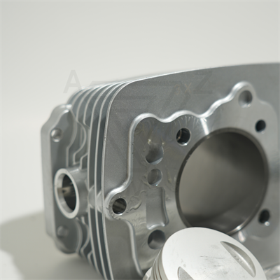 CG200 65.5 mm 69 mm 13 PIN SİLİNDİR PİSTON GRİ