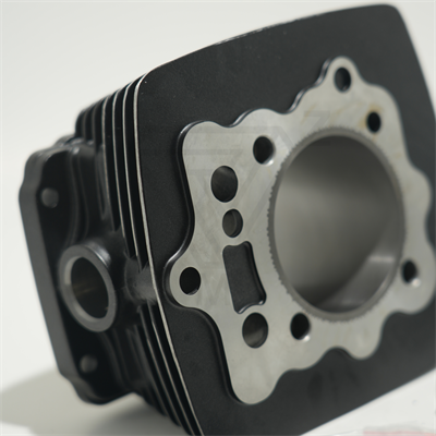 CG200 65.5 mm 69 mm 13 PIN SİLİNDİR PİSTON SİYAH