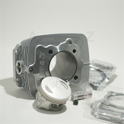 CG200 65.5 mm 69 mm 13 PIN SİLİNDİR PİSTON GRİ