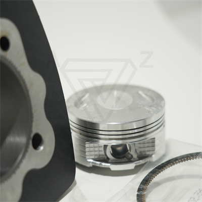 CG200 65.5 mm 69 mm 13 PIN SİLİNDİR PİSTON SİYAH