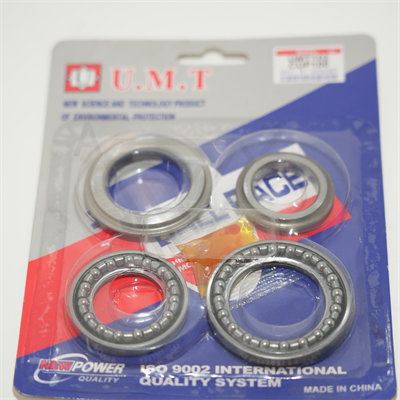 CUP 100 ÖN DÜZEN BİLYASI