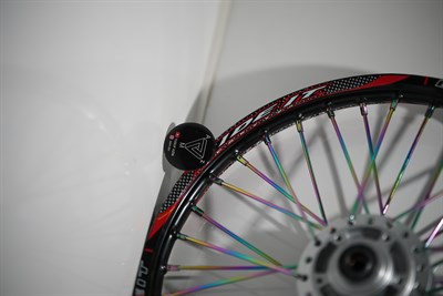 17 RIDE IT BUKALEMUN JANT DİSKLİ ÖN