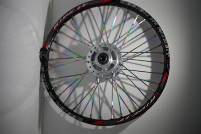 17 RIDE IT BUKALEMUN JANT DİSKLİ ÖN