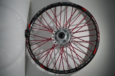 17 RIDE İT ÖN DİSKLİ BURGULU KIRMIZI TELLİ JANT