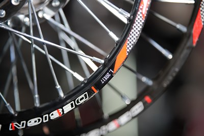 RIDE İT JANT BUKALEMUN TELLİ 17-19 DİSKLİ