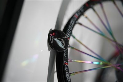 RIDE İT JANT BUKALEMUN TELLİ 17-19 DİSKLİ