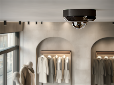 DomeCam Mini HL