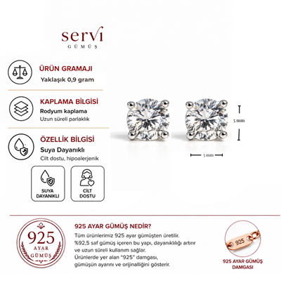 Servi 925 Ayar Gümüş Adele 5 mm Elmas Kesim Tektaş Küpe