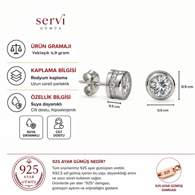 Servi 925 Ayar Gümüş Yan Şerit Taşlı Tektaş Küpe
