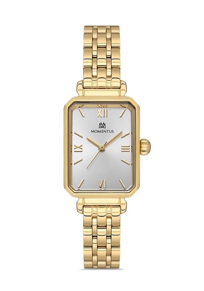 MOMENTUS CS223G-02SG