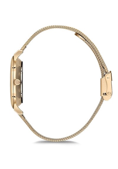 MOMENTUS CW251G-02SG