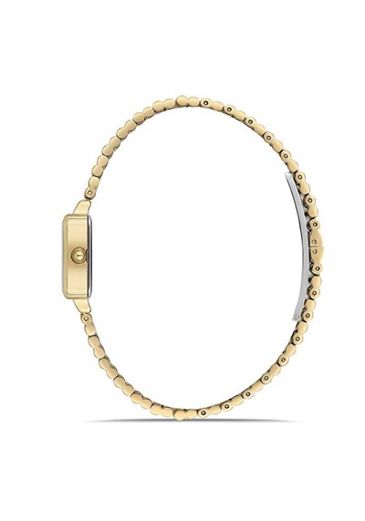 MOMENTUS CW312G-02SG