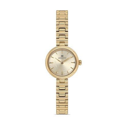 MOMENTUS CW313G-08SG