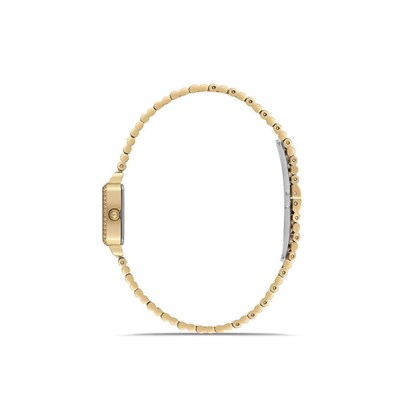 MOMENTUS SS402G-02SG