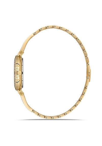 MOMENTUS SS409G-02SG