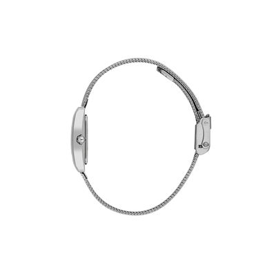 Daniel Klein DKE.1.10980-1 Kadın Kol Saati