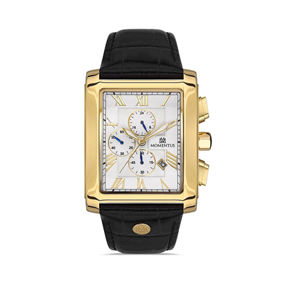 Momentus Time Master TM111G-02BG Erkek Kol Saati