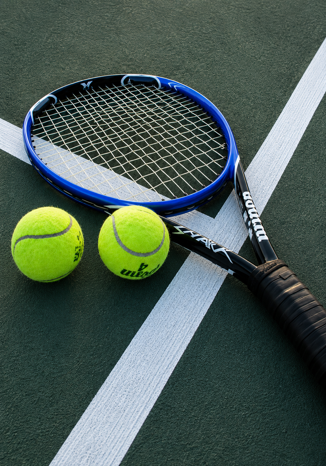Tenis