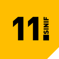 11. Sınıf